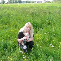 ����, ������, 62 ����