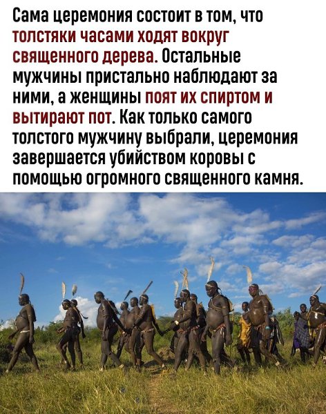   ,      - 3