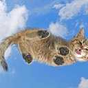 ���� Ilya, ���������, 25 ��� - ��������� 29 ������� 2022