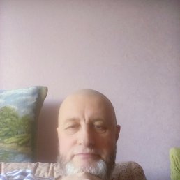 , 65 , 