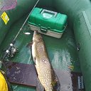 ���� �������, �����-���������, 50 ��� - ��������� 4 ������ 2023 � ������ ���� ����������