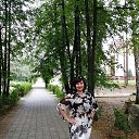 ���� 2022 �� ������� ������ ��������