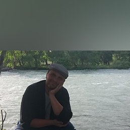 ��������, ������, 37 ���