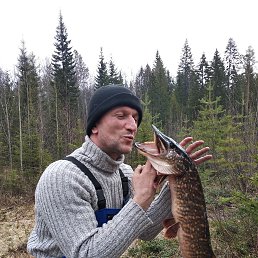 ���� ������, ���������, 58 ��� - ��������� 20 ��� 2022