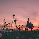 ���� �zju�, ����, 51 ��� - ��������� 28 ������� 2022 � ������ ���� ����������