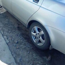 ������, ��������, 51 ���