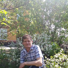 ���� ������, ��������, 52 ���� - ��������� 7 ���� 2022