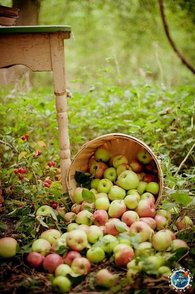 �e���e �ap�. a��e ��o�� � �p���� �����e �o���e �ce�... ���� ������������ ��� - 2
