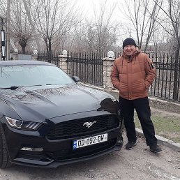 �����, ���������, 44 ����