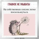 ���� �����, ������� ��������, 62 ���� - ��������� 28 ���� 2022 � ������ ������ ��������