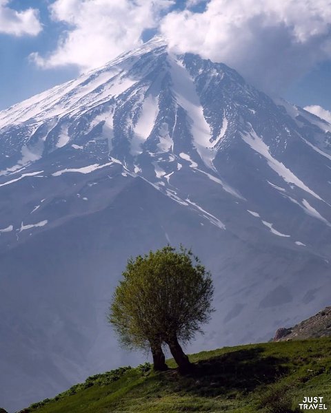 o.opa  pae #art #travel #world