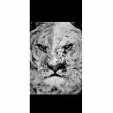  , --, 44  -  15  2022