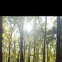 ���� ��������, ��������, 50 ��� - ��������� 16 ��� 2022 � ������ ���� ����������