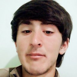 �����, �����-���������, 24 ����