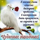 ���� �������, ������, 51 ��� - ��������� 12 ������ 2022 � ������ ���� ����������