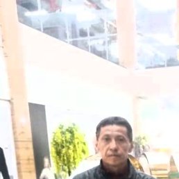 ���� �����, �������������, 56 ��� - ��������� 21 ������ 2022