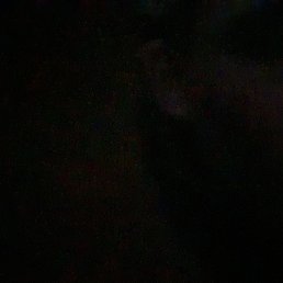 ���� ����, ������, 43 ���� - ��������� 20 ������� 2023