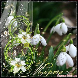 ����, ������, 59 ���