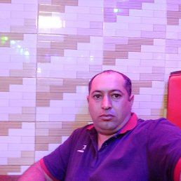 , 38, 