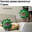 ���� �������, ����� - ��������� 16 ������� 2022 � ������ ������ ��������