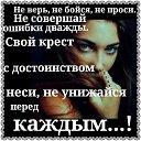 ���� ��������, ����������, 40 ��� - ��������� 30 ��� 2022 � ������ ���� ����������