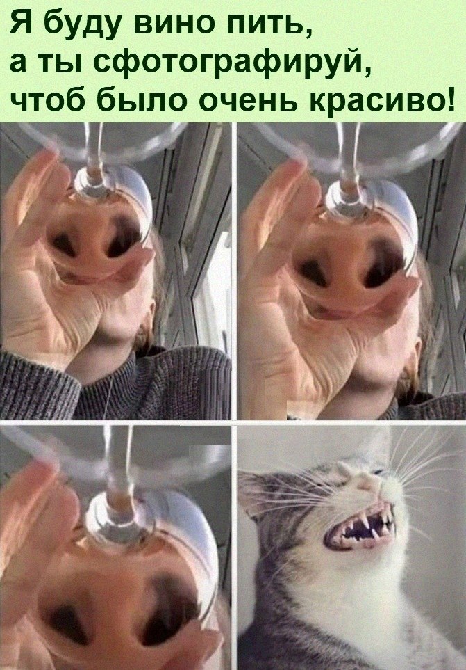   :D - 20  2022  12:46