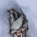 ���� �����, ��������, 57 ��� - ��������� 9 ������� 2022 � ������ ���� ����������