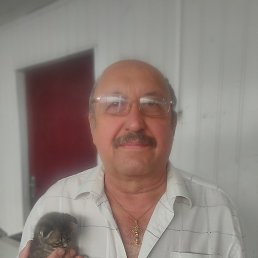 ������, ����������, 68 ���