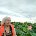 ���� ������, ��������� - ��������� 26 ������� 2022 � ������ ���� ����������