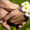 ���� �������, ������ - ��������� 1 ������� 2022