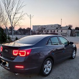 ����, �����, 35 ���