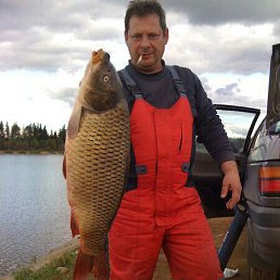 ���� ����� ����������, ������ - ��������� 17 ������ 2022