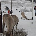 ���� ����, �����-��������, 64 ���� - ��������� 6 ������� 2023 � ������ ���� ����������