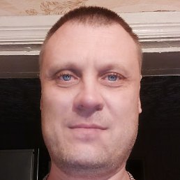 ���������, ���������, 41 ���