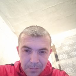 ���� �����, ��������, 42 ���� - ��������� 15 ������ 2023