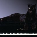  ,  , 51  -  10  2022    