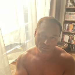 , 51 , 