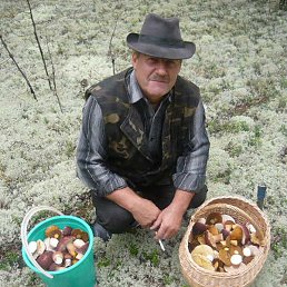 ����, ���������, 72 ����