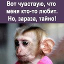 ���� ������, �������, 47 ��� - ��������� 2 ������� 2022 � ������ ���� ����������