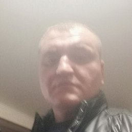 ����, ����������, 43 ����