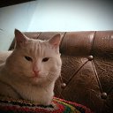 ���� �������, ���������, 39 ��� - ��������� 7 ������ 2022 � ������ ���� ����������