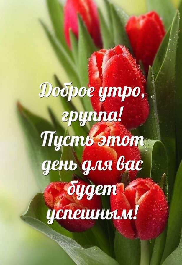    ,     .  ,  ,  ,    ...