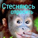 ���� ��������, ������ - ��������� 2 ������ 2022 � ������ ���� ����������