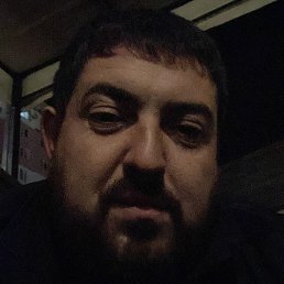 �����, �������, 41 ���