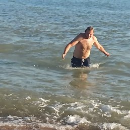 �������, ����, 40 ���