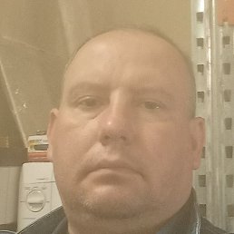 �������, �����-���������, 51 ���