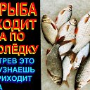  Dmitry,  , 50  -  14  2022    