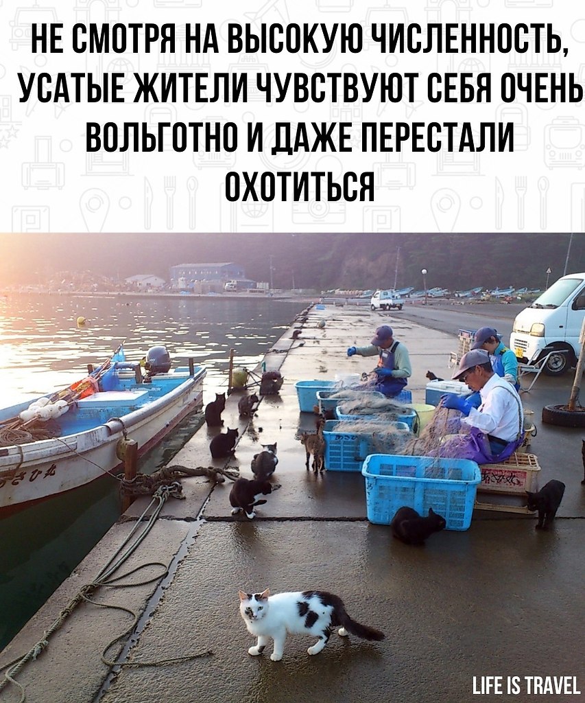     ! - 3