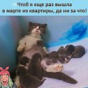 ���� ��������, ����� - ��������� 20 ������ 2022 � ������ ���������� ������