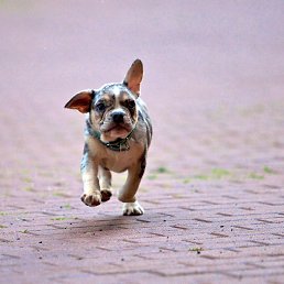 ���� �����������, �����-���������, 36 ��� - ��������� 19 ������� 2022